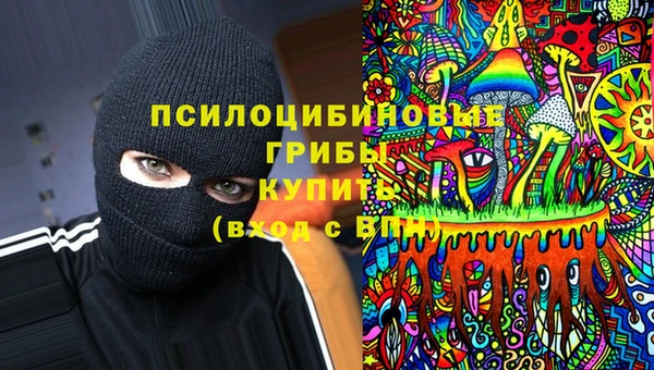 шишки Волосово