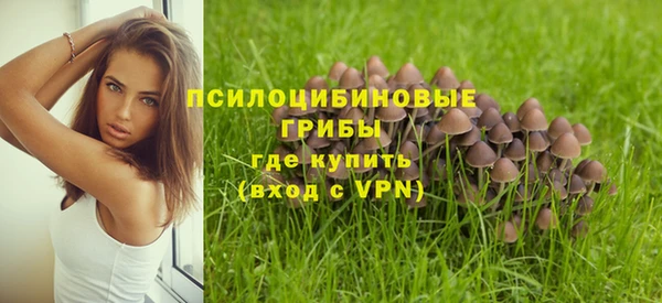 гидра Баксан
