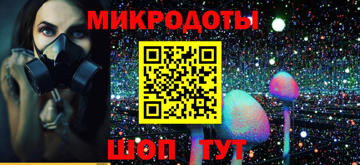 Галлюциногенные грибы мицелий  закладки  Елабуга  Вход с VPN 